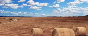 Color image of a hay field in Kansas