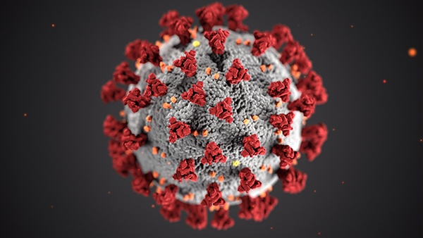 Image of the COVID19 virus under a microscope